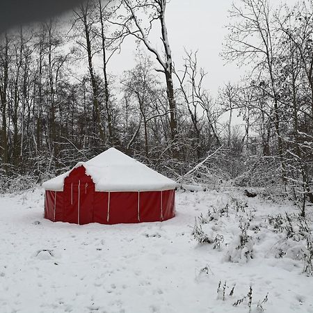 Jurten Im Garten Eden Bub Hotel Gutzkow Kültér fotó